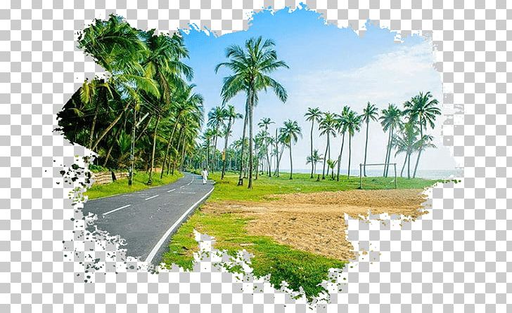 Alappuzha Desktop Nature Package Tour PNG, Clipart, Alappuzha, Area, Arecales, Art, Arts Of Kerala Free PNG Download