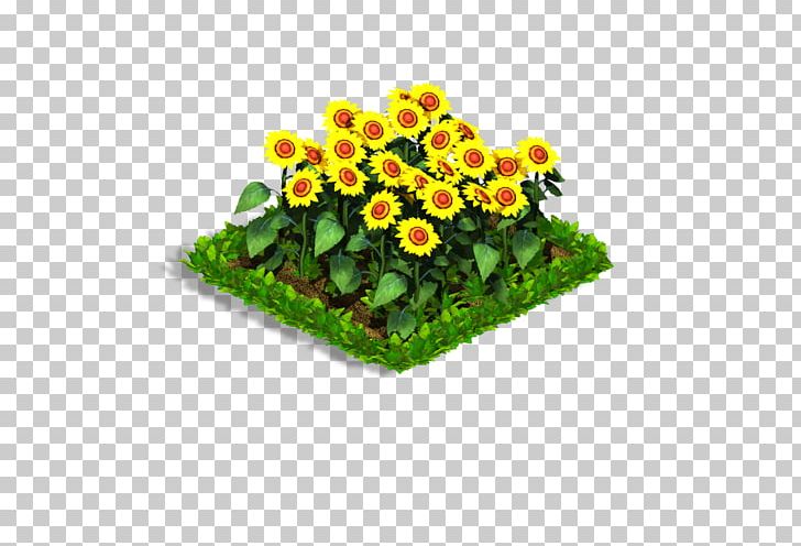 Flowerpot Annual Plant Herbaceous Plant PNG, Clipart, Annual Plant, Flower, Flowering Plant, Flowerpot, Grass Free PNG Download