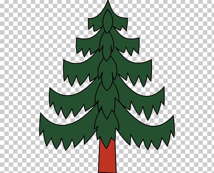Pine Evergreen PNG, Clipart, Blue Spruce, Branch, Cartoon, Christmas, Christmas Decoration Free PNG Download