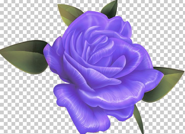 Beach Rose Rosaceae Flower Violet Blue PNG, Clipart, Beach Rose, Blue, Bluegreen, Cut Flowers, Flower Free PNG Download