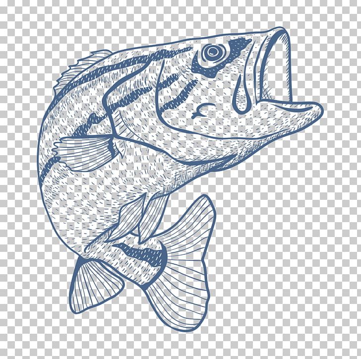 Fishing Rod Seafood Drawing Sketch PNG, Clipart, Aquarium Fish, Art, Bank Fishing, Bass, Cartoon Free PNG Download