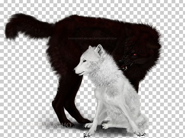 Gray Wolf Fur White Wildlife Fox News PNG, Clipart, Black And White, Carnivoran, Dog Like Mammal, Fox, Fox News Free PNG Download