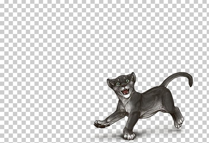 Whiskers Puppy Dog Breed Cat PNG, Clipart, Animals, Breed, Carnivoran, Cat, Cat Like Mammal Free PNG Download