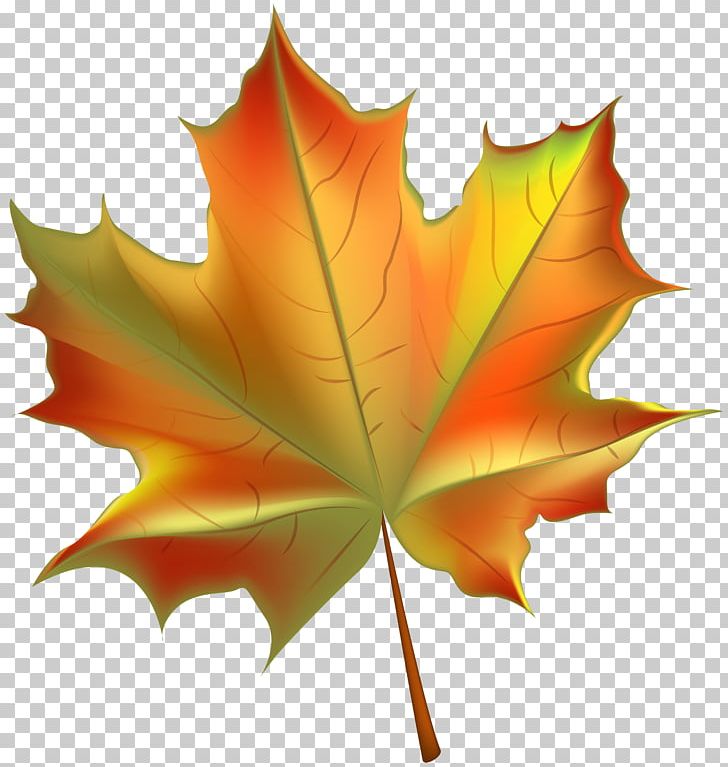 Autumn Leaf Color PNG, Clipart, Autumn, Autumn Leaf Color, Beautiful, Clipart, Clip Art Free PNG Download