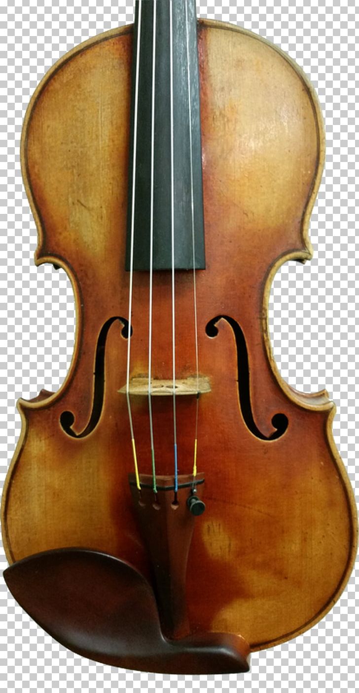 Bass Violin Violone Bowed String Instrument Cello PNG, Clipart, Acoustic Electric Guitar, Bass Violin, Bow, Bowed String Instrument, Cello Free PNG Download
