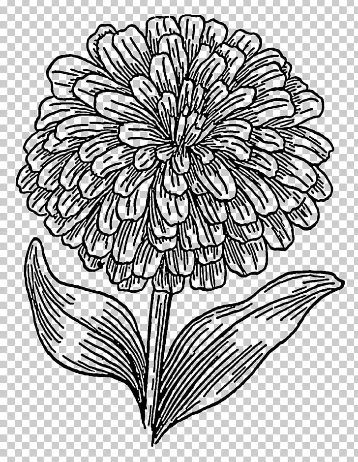 Coloring Book Drawing Mexican Marigold PNG, Clipart, Art, Artwork, Black And White, Child, Chrysanths Free PNG Download