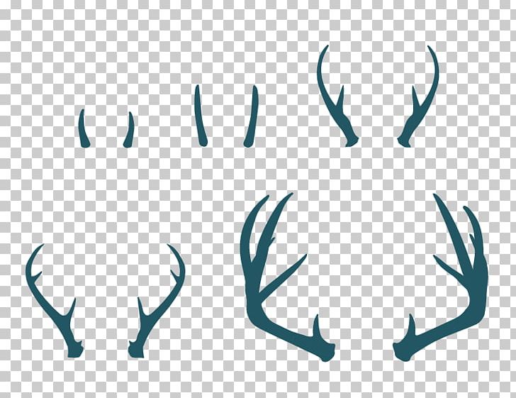 Deer Antlers Deer Antlers White-tailed Deer Elk PNG, Clipart, Animal, Animals, Antler, Antlers, Blue Free PNG Download