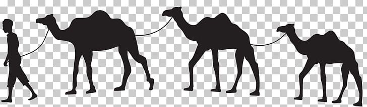 Dromedary Camel Train Silhouette Horse PNG, Clipart, Animals, Arabian Camel, Black And White, Camel, Camel Like Mammal Free PNG Download