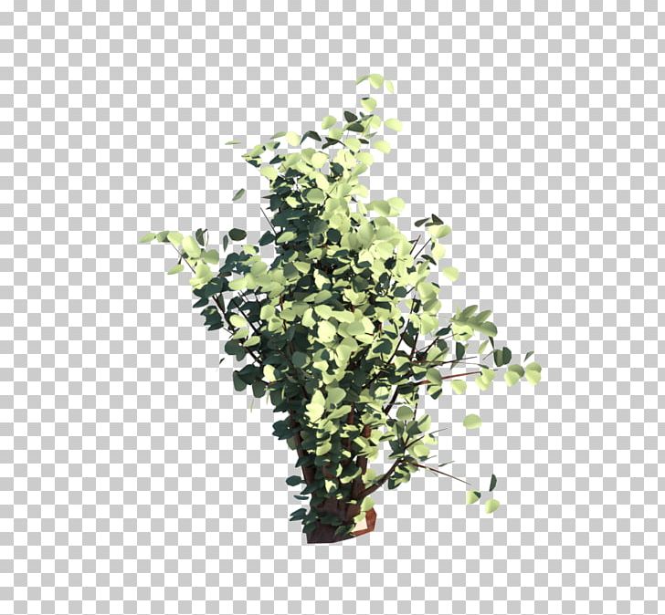 Flowerpot Herb Shrub Branching PNG, Clipart, Arbusto, Branch, Branching, Flowerpot, Herb Free PNG Download