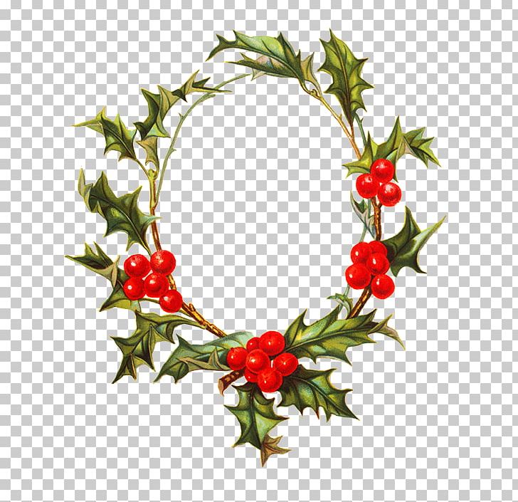 Borders And Frames Christmas Decoration Wreath PNG, Clipart, Aquifoliaceae, Aquifoliales, Borders, Borders And Frames, Christmas Free PNG Download