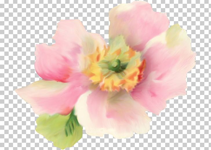 Drawing Watercolor Painting PNG, Clipart, Blossom, Color, Flower, Flowers, Graphic Arts Free PNG Download