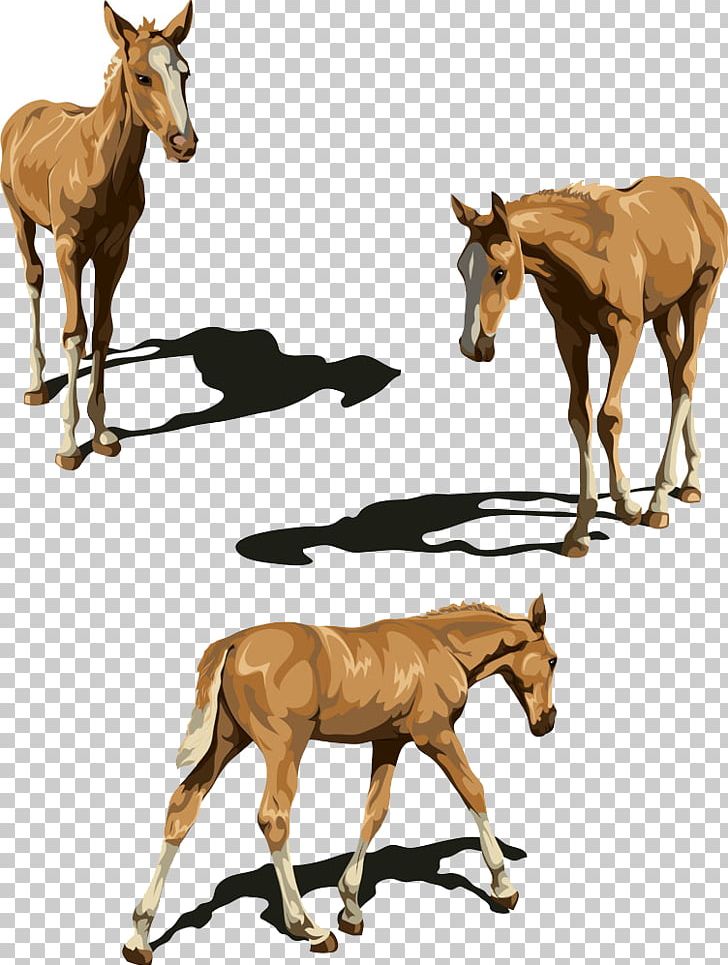 Tennessee Walking Horse Foal Illustration PNG, Clipart, Animal, Animals, Brown, Colt, Donkey Free PNG Download