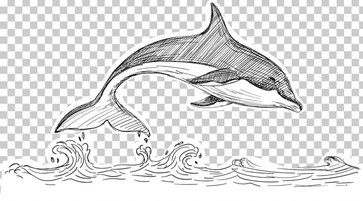 Tucuxi Dolphin Beluga Whale PNG, Clipart, Automotive, Black White, Fauna, Mammal, Marine Mammal Free PNG Download