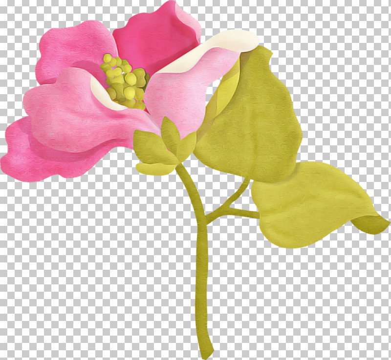 Artificial Flower PNG, Clipart, Artificial Flower, Cut Flowers, Flower, Pedicel, Petal Free PNG Download