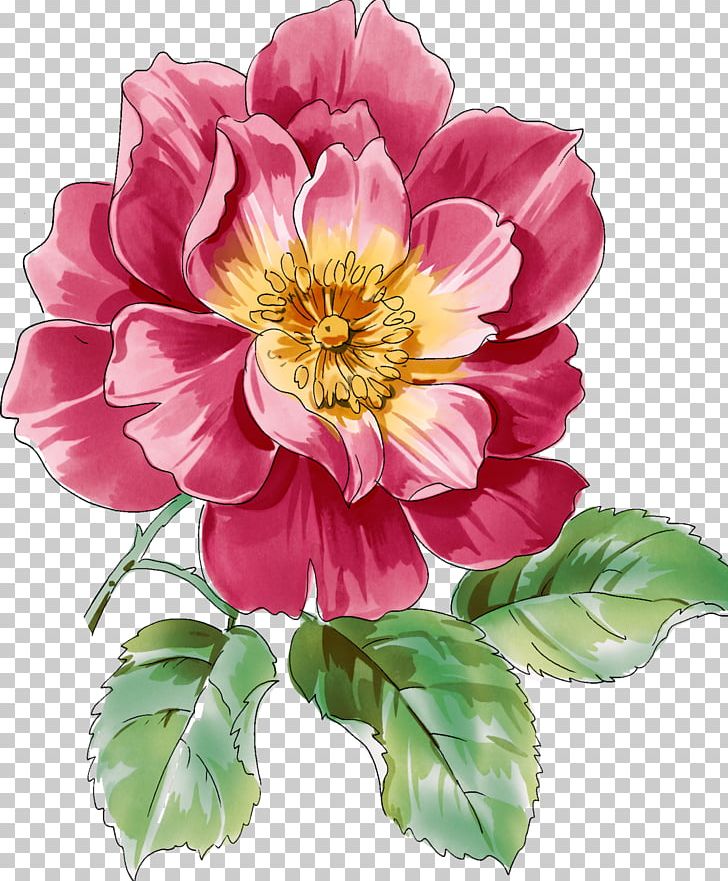 Flower Best Roses Watercolor Painting PNG, Clipart, Annual Plant, Best, Best Roses, Cut Flowers, Dahlia Free PNG Download