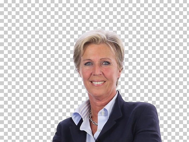 RTL Nieuws Journalist News Kingfisher Plc Do It Yourself PNG, Clipart, Business, Businessperson, Chairman, Do It Yourself, Elder Free PNG Download