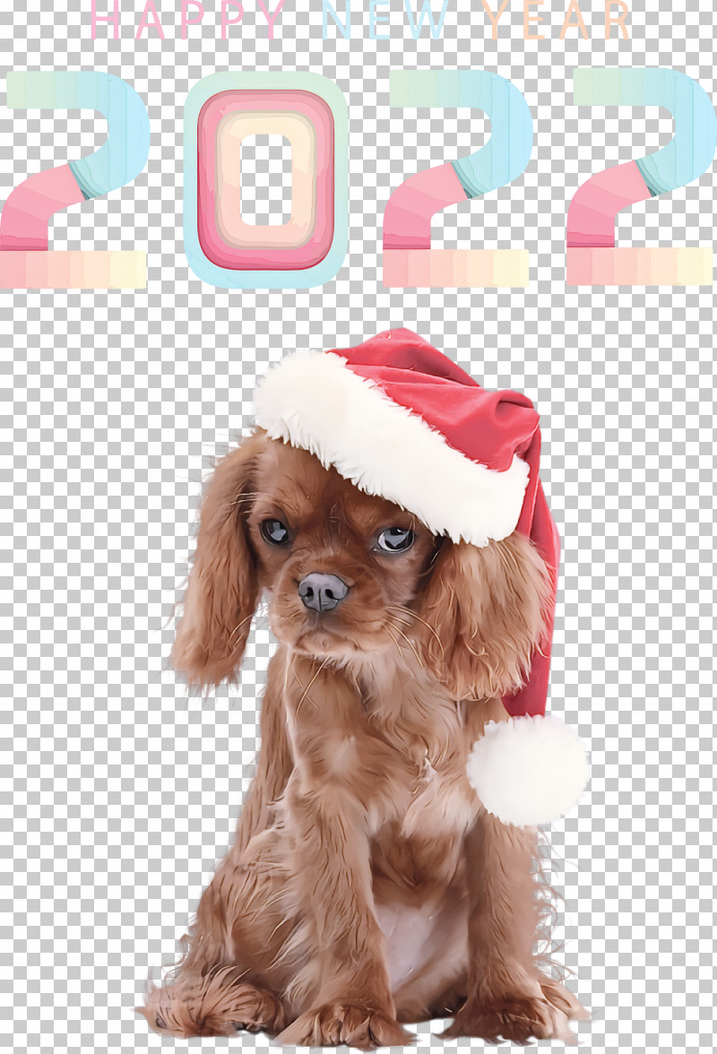 Happy 2022 New Year 2022 New Year 2022 PNG, Clipart, Bernese Mountain Dog, Cavalier King Charles Spaniel, Cavapoo, Cockapoo, Companion Dog Free PNG Download
