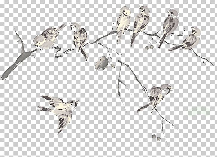 Bird Columbidae Rock Dove Flock PNG, Clipart, 1610, Animals, Beak, Bird Cage, Bird Flight Free PNG Download