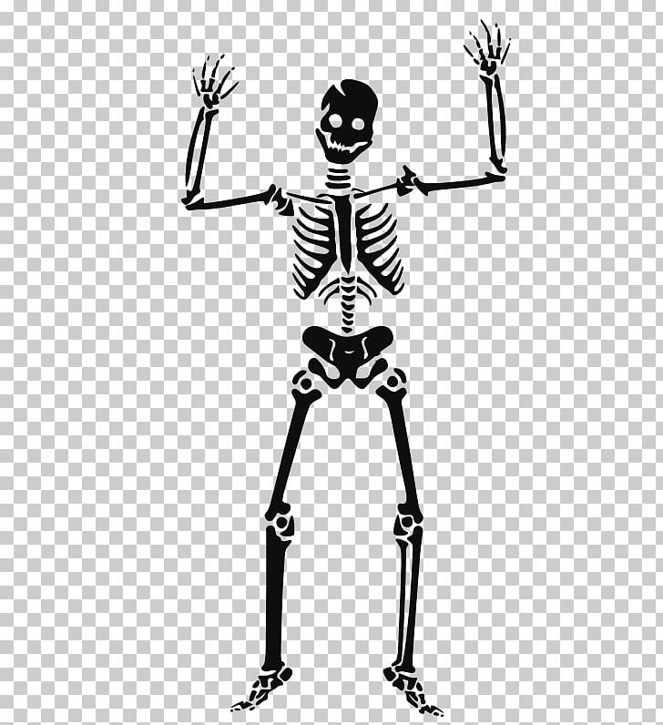 Human Skeleton Skull PNG, Clipart, Arm, Avatar Clip, Black And White, Bone, Cartoon Free PNG Download