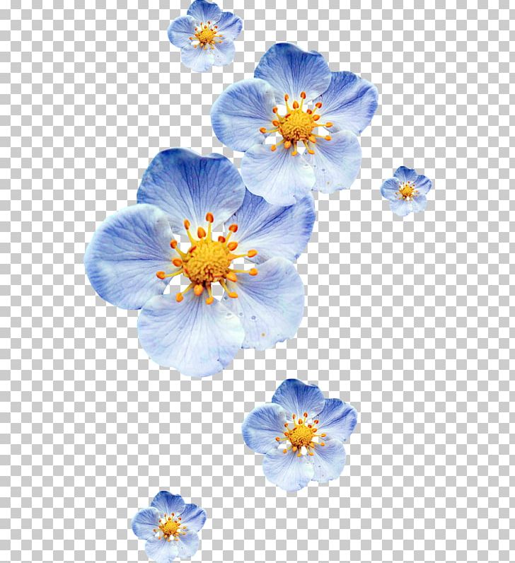 Petal Blue Portable Network Graphics Color Flower PNG, Clipart, Blue, Color, Color Gradient, Data, Desktop Wallpaper Free PNG Download