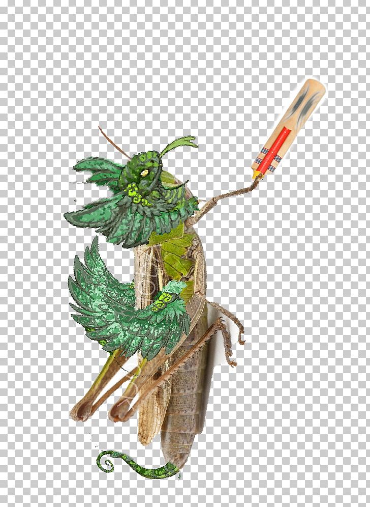 Plant PNG, Clipart, Food Drinks, Insect, Kek, Plant Free PNG Download