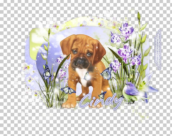 Puggle Puppy Boxer Dog Breed Companion Dog PNG, Clipart, Animals, Boxer, Breed, Carnivoran, Companion Dog Free PNG Download