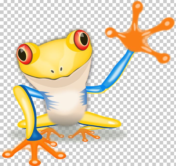 Red-eyed Tree Frog Australian Green Tree Frog PNG, Clipart, American Green Tree Frog, Amphibian, Animal, Animals, Australian Green Tree Frog Free PNG Download
