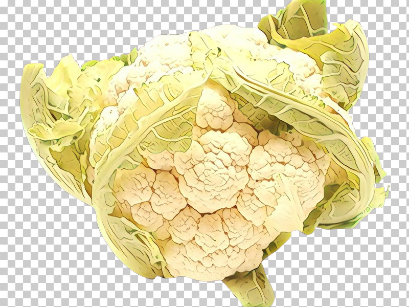 Cauliflower PNG, Clipart, Cabbage, Cauliflower, Cut Flowers, Flower, Food Free PNG Download