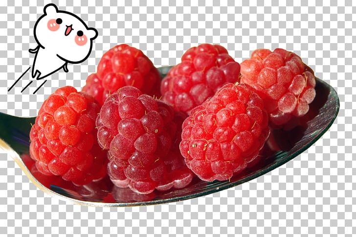 Raspberry Ketone Fruit Sweetness PNG, Clipart, Apple Fruit, Berry, Cartoon, Diet, Eating Free PNG Download