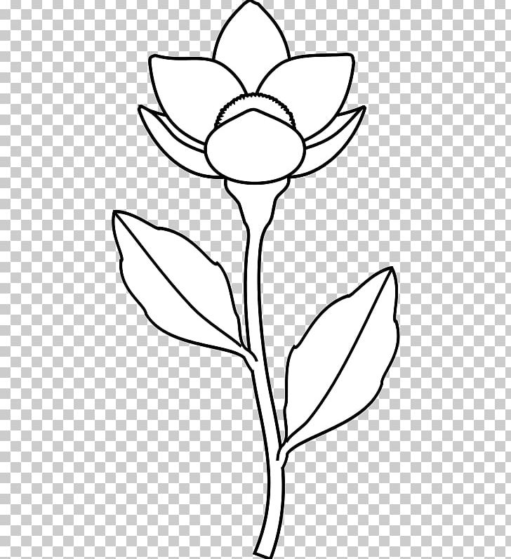 Floral Design /m/02csf Cut Flowers Leaf PNG, Clipart, Anemone, Artwork, Black And White, Branch, Cut Flowers Free PNG Download