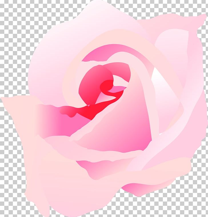 Garden Roses Desktop Petal Computer PNG, Clipart, Closeup, Closeup, Computer, Computer Wallpaper, Cute Free PNG Download