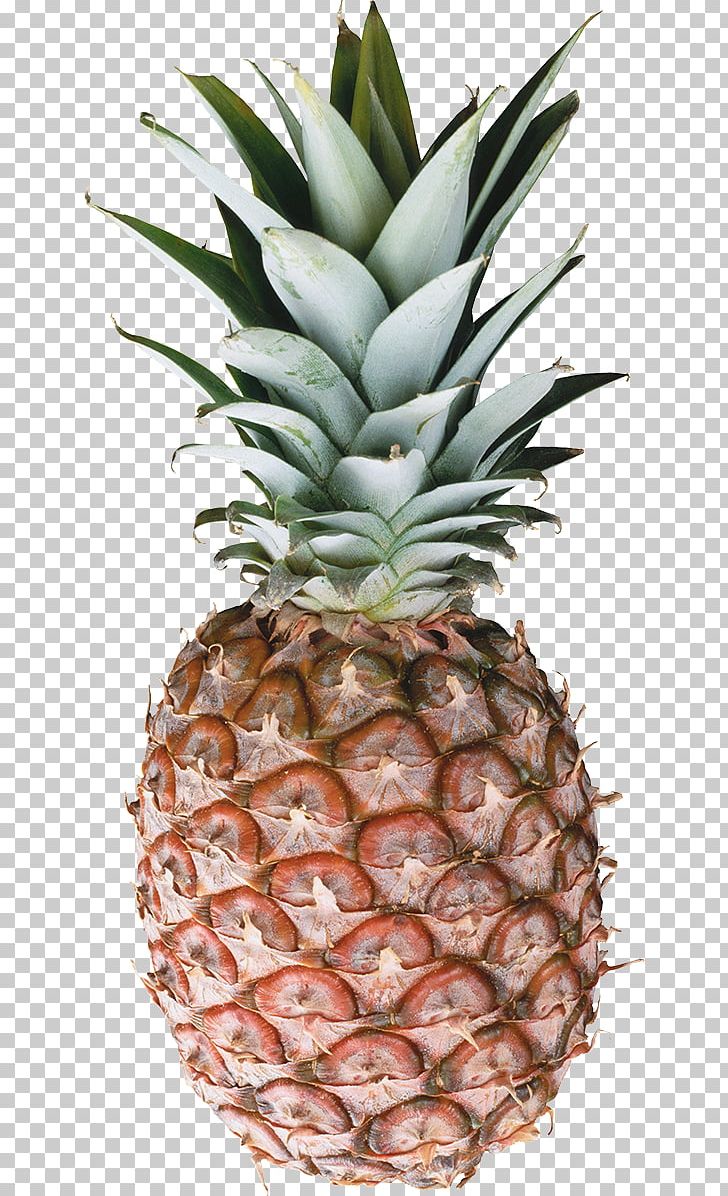Pineapple PNG, Clipart, Ananas, Cartoon Pineapple, Download, Encapsulated Postscript, Flowerpot Free PNG Download