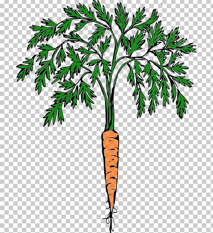 Carrot Cash Crop Food PNG, Clipart, Branch, Carrot, Cash Crop, Crop, Farm Free PNG Download