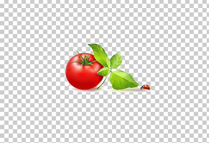 Tomato Vegetable PNG, Clipart, Cherry, Cherry Tomato, Diet Food, Encapsulated Postscript, Food Free PNG Download