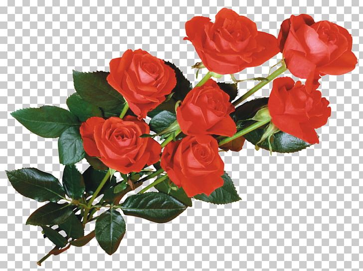Rose Desktop Flower PNG, Clipart, Animation, Artificial Flower, Blue Rose, Cut Flowers, Desktop Wallpaper Free PNG Download