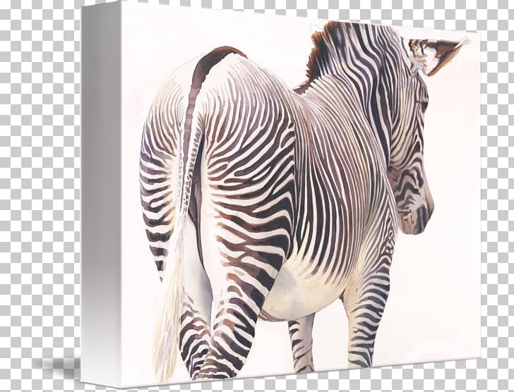 Quagga Neck Terrestrial Animal Wildlife PNG, Clipart, Animal, Animals Watercolor, Fauna, Horse Like Mammal, Mammal Free PNG Download