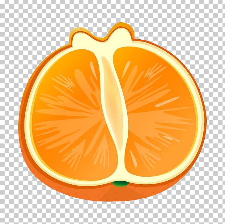 Blood Orange Grapefruit Greipfrutas PNG, Clipart, Cartoon, Drawing, Food, Fruit, Fruit Nut Free PNG Download
