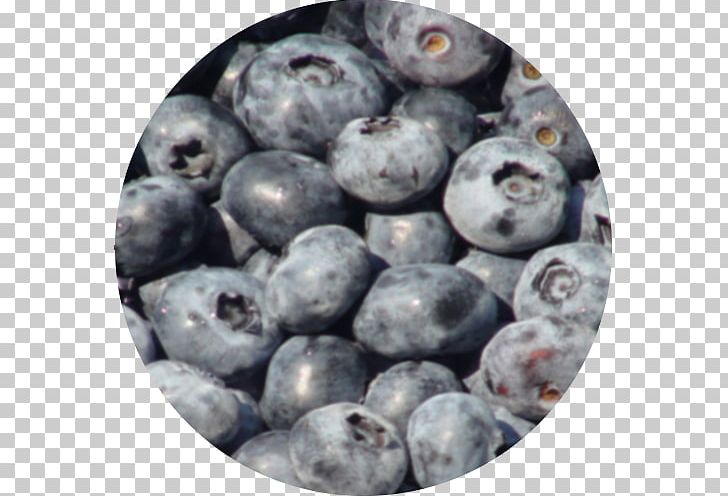 Blueberry Bilberry Superfood Prune Pruning PNG, Clipart, Berry, Bilberry, Blueberry, Food, Food Drinks Free PNG Download