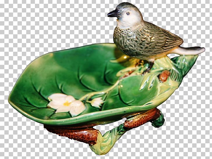 Duck Beak Tableware PNG, Clipart, Animals, Back, Beak, Bird, Catalog Free PNG Download
