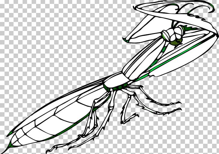 Insect Mantis Praying PNG, Clipart, Animals, Area, Artwork, Automotive Design, Black And White Free PNG Download