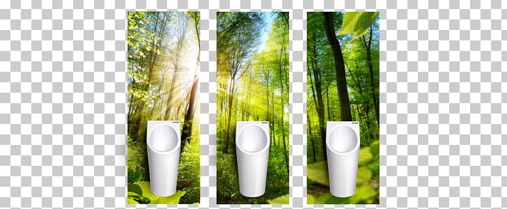 Tunis Tropical Woody Bamboos Bottle Television Zurbrüggen Wohn-Zentrum GmbH PNG, Clipart, Bamboo, Bottle, Grass, Grass Family, Objects Free PNG Download