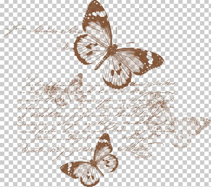 Paper Scrapbooking Drawing Butterfly PNG, Clipart, Adhesive, Art, Arthropod, Black And White, Brush Footed Butterfly Free PNG Download