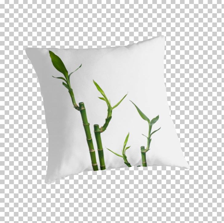Throw Pillows Plant PNG, Clipart, Furniture, Pillow, Plant, Throw Pillow, Throw Pillows Free PNG Download