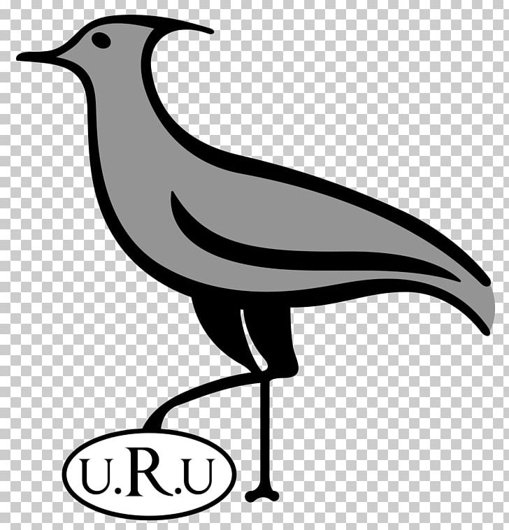 Uruguay National Rugby Union Team Uruguay National Rugby Sevens Team Uruguay National Under-20 Rugby Union Team PNG, Clipart, 2019 Rugby World Cup, Americas, Artwork, Beak, Bird Free PNG Download