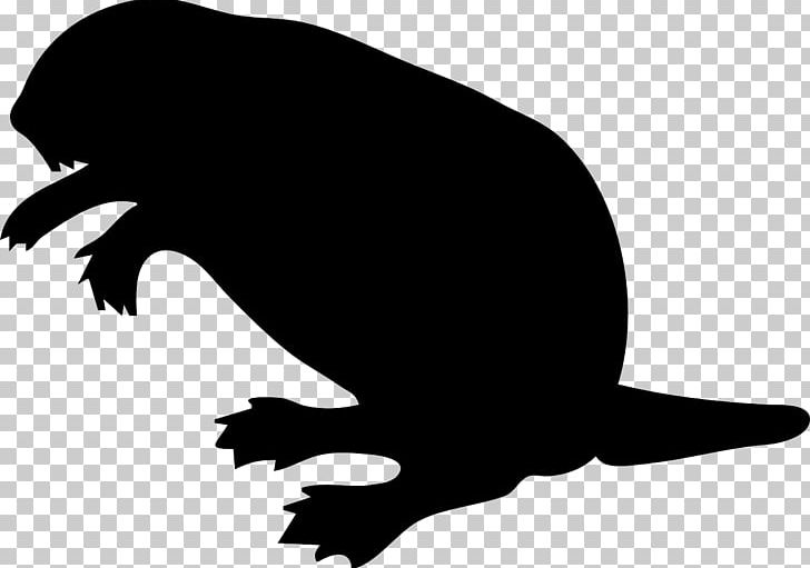 Beaver Computer Icons PNG, Clipart, Animals, Art, Beak, Beaver, Bird Free PNG Download