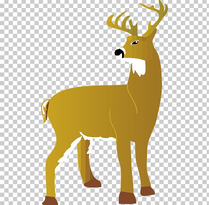 The White-tailed Deer Red Deer PNG, Clipart, Animal, Animals, Antler, Christmas Deer, Deer Free PNG Download
