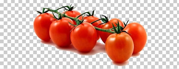 Pizza Cherry Tomato Vegetable Grape Tomato Cheese And Tomato Sandwich PNG, Clipart, Bush Tomato, Canned Tomato, Food, Fruit, Natural Foods Free PNG Download