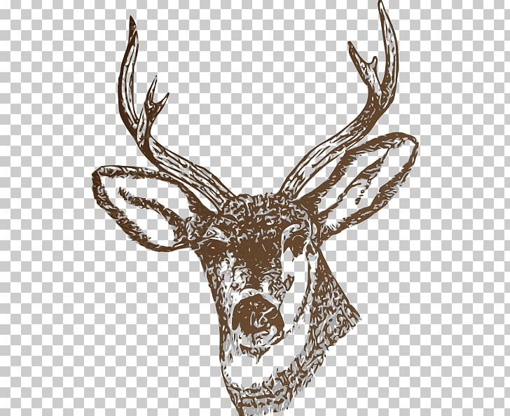 White-tailed Deer Reindeer PNG, Clipart, Antler, Deer, Deer Hunting, Horn, Hunting Free PNG Download