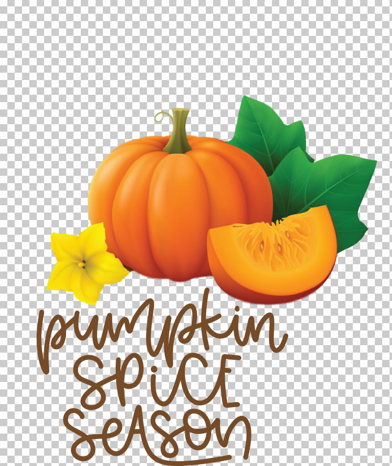 Autumn Pumpkin Spice Season Pumpkin PNG, Clipart, Autumn, Fruit, Pumpkin, Pumpkin Seeds, Thanksgiving Free PNG Download