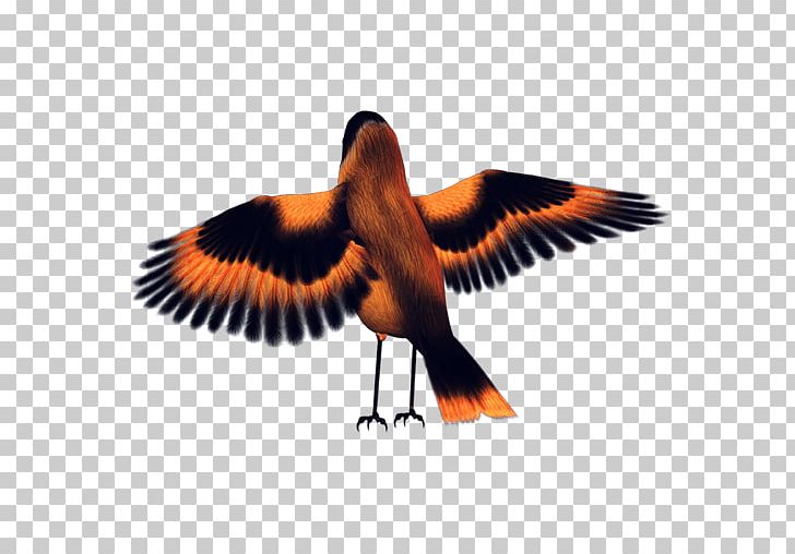 Atlantic Canary Bird Icon PNG, Clipart, Animals, Beak, Bird, Bird Cage, Bird Nest Free PNG Download